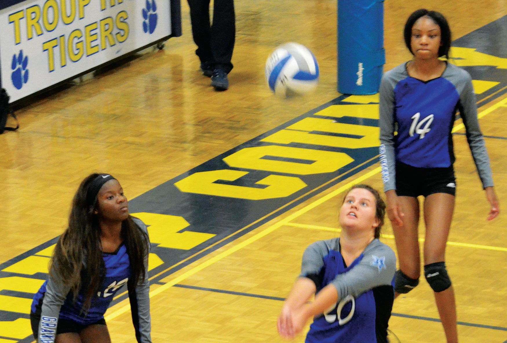 Volleyball Rivals Face Of - LaGrange Daily News | LaGrange Daily News