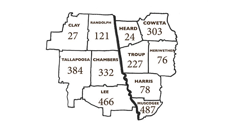 Troup County's COVID-19 death total rises to eight - LaGrange Daily ...