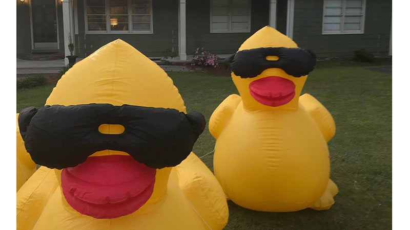 Extra Large Rubber Duck – Magpies Nashville